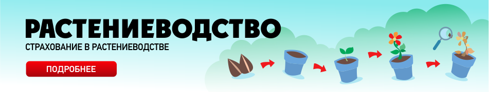 Добровольное страхование в растениеводстве